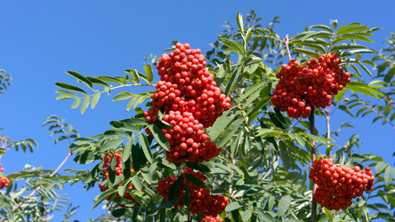 Similar image 21788433