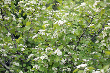 Similar image 21788439