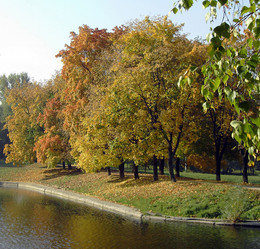 Similar image 21788441