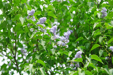 Similar image 21788443