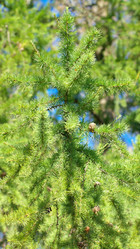 Similar image 21788444