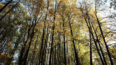 Similar image 21788447