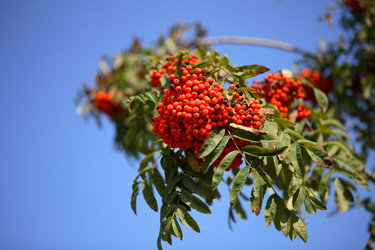 Similar image 21788448