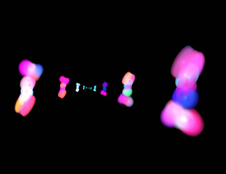 Similar image 21788859