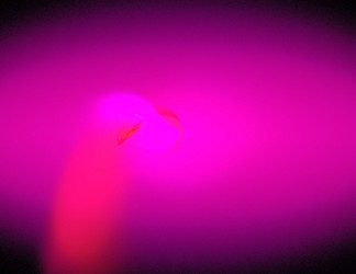 Similar image 21788616