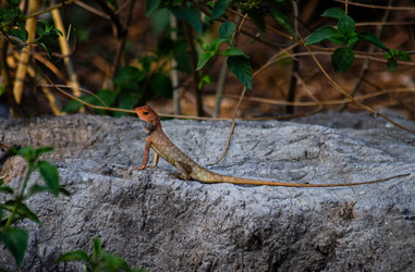 Similar image 21789064