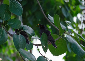 Similar image 21789065