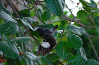 Similar image 21789066