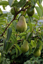 Similar image 21787281