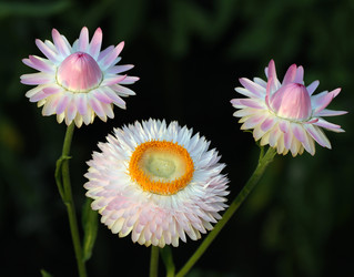 Similar image 21787283