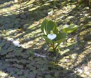 Similar image 21787477