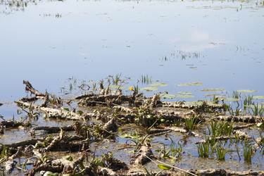 Similar image 21787478