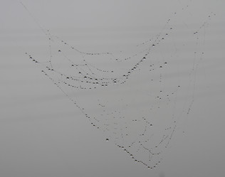 Similar image 21787479