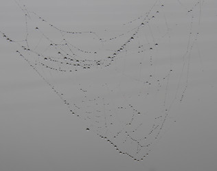 Similar image 21787481