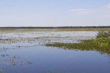 Similar image 21787482