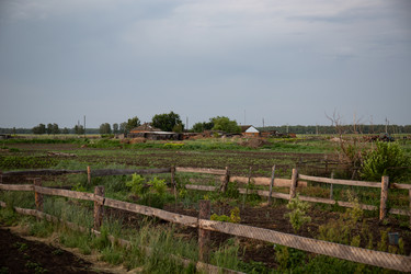 Similar image 21787490