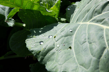 Similar image 21787497