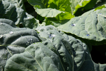 Similar image 21787498