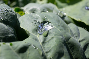 Similar image 21787499