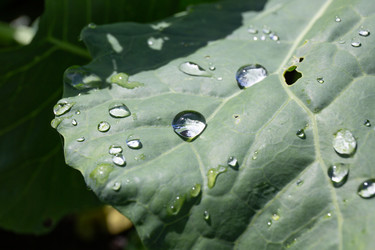 Similar image 21787500