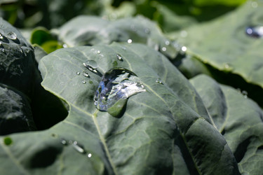 Similar image 21787502