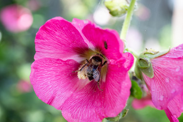 Similar image 21787503