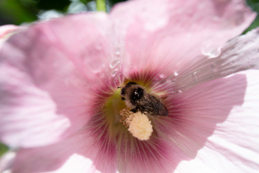 Similar image 21787504