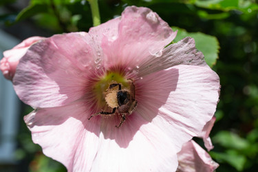 Similar image 21787506