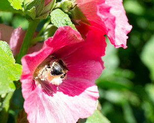 Similar image 21793084