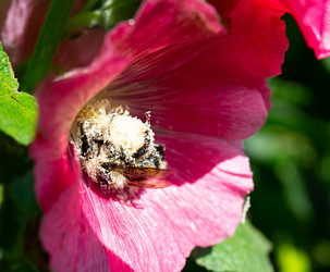 Similar image 21793085