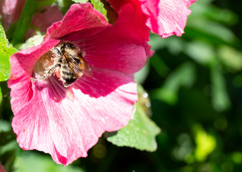 Similar image 21793086