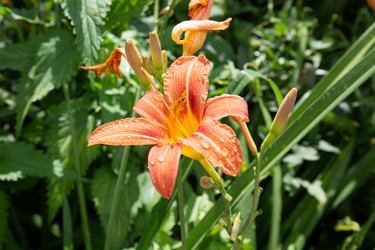 Similar image 21793087