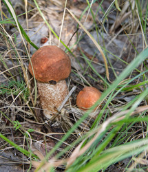 Similar image 21793089