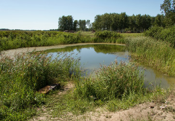 Similar image 21793091