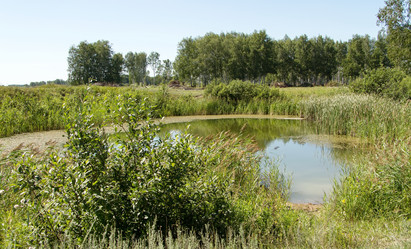 Similar image 21793092