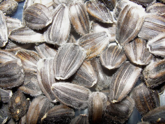 Similar image 21789174