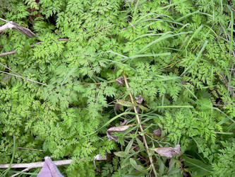 Similar image 21789175