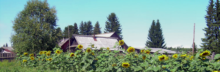 Similar image 21789177