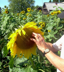 Similar image 21789179