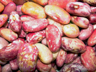 Similar image 21789181