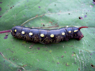 Similar image 21789182