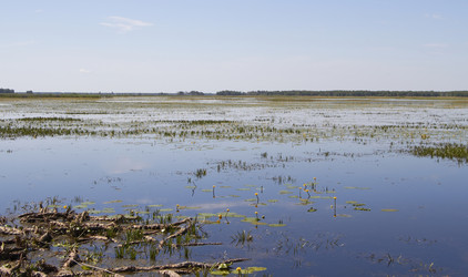 Similar image 21793094