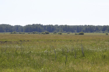 Similar image 21793096