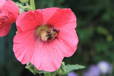 Similar image 21793101