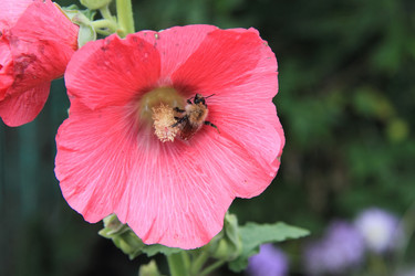 Similar image 21793102