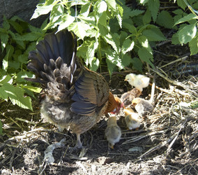 Similar image 21793104