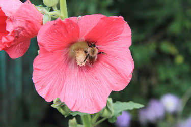 Similar image 21793105