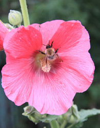 Similar image 21793108