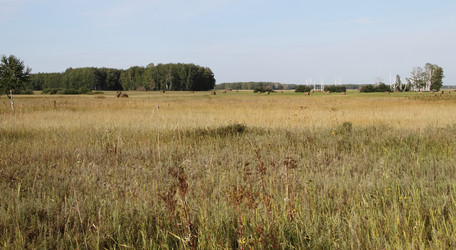 Similar image 21793109