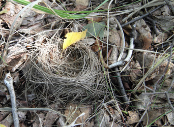 Similar image 21793110